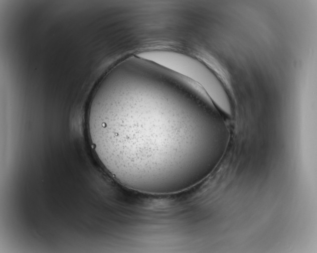 X0000091730107200709141234