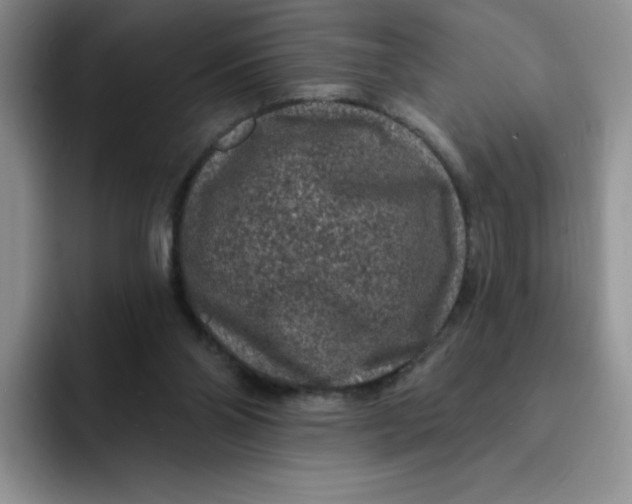 X0000091730110200709141234