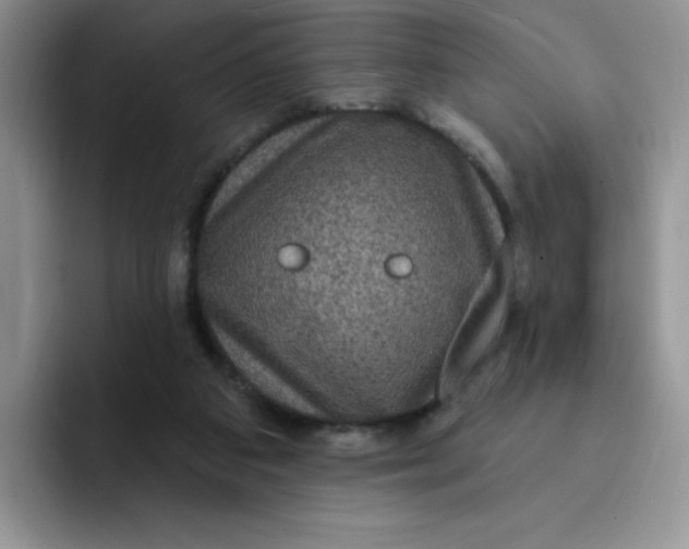 X0000091730113200709141234