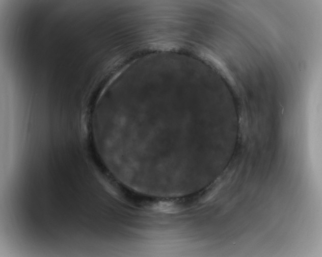 X0000091730114200709141234