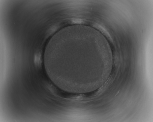 X0000091730116200709141234