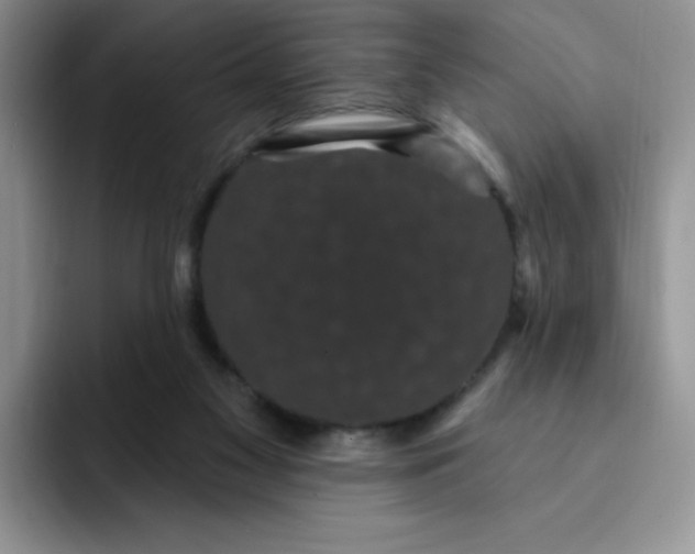 X0000091730117200709141234