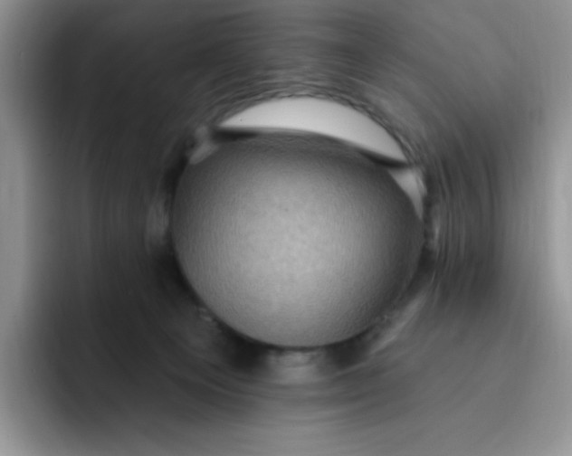 X0000091730129200709141233