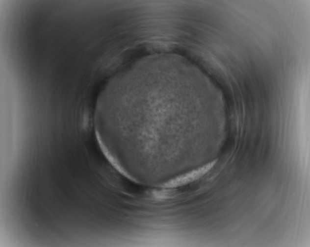 X0000091730134200709141233