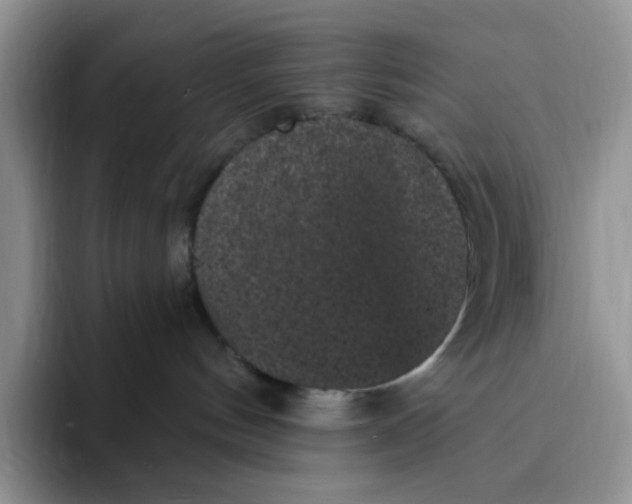 X0000091730144200709141233