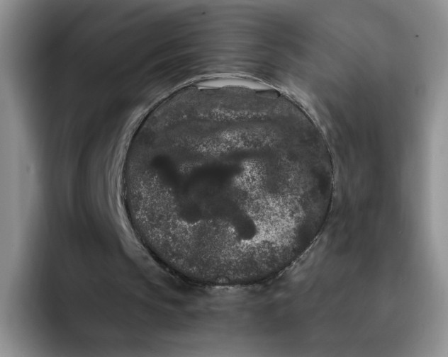 X0000091730145200709141233