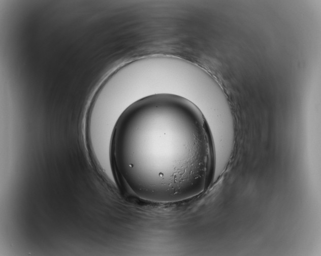 X0000091730148200709141233