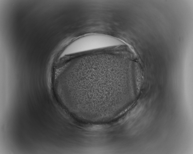 X0000091730149200709141233