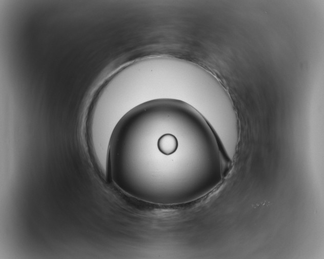 X0000091730150200709141233