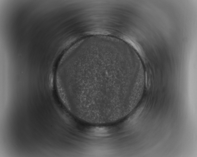 X0000091730157200709141233