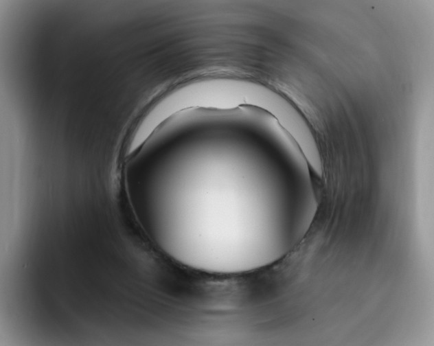 X0000091730160200709141233