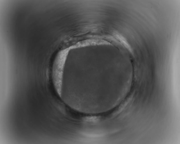 X0000091730161200709141233