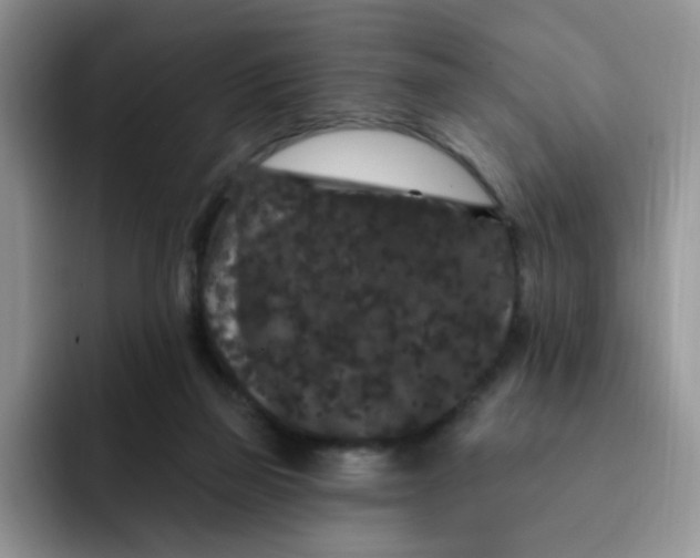 X0000091730165200709141233