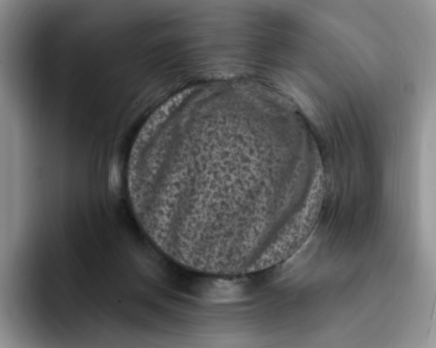 X0000091730166200709141233