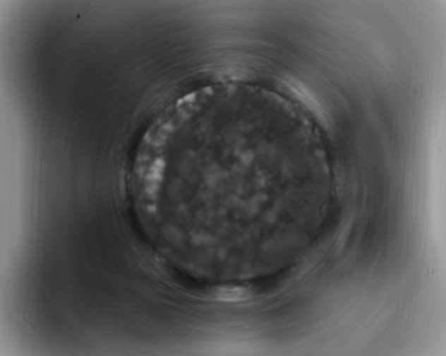 X0000091730169200709141233