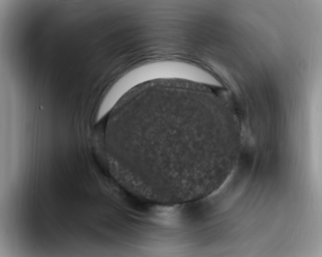 X0000091730170200709141233