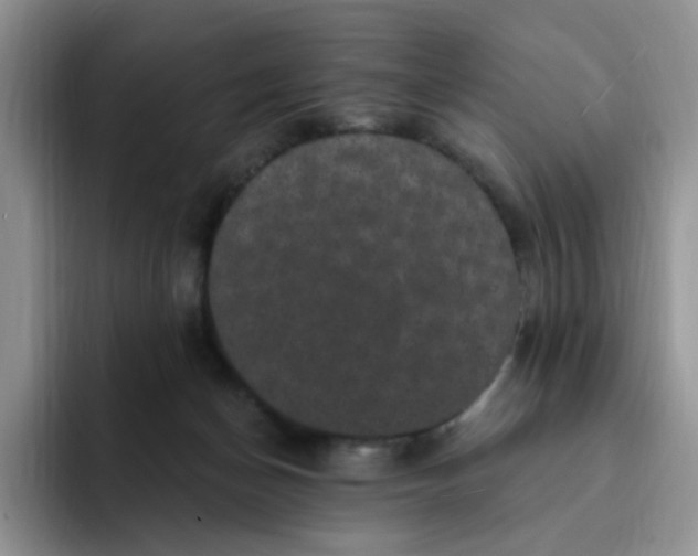 X0000091730174200709141233