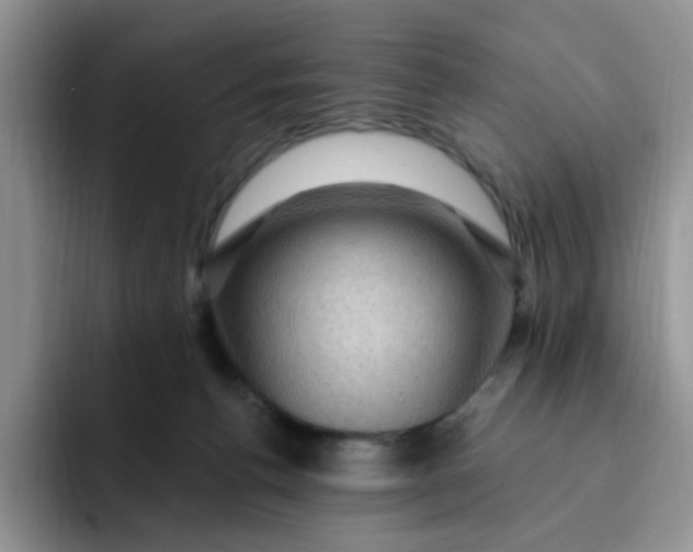 X0000091730176200709141233