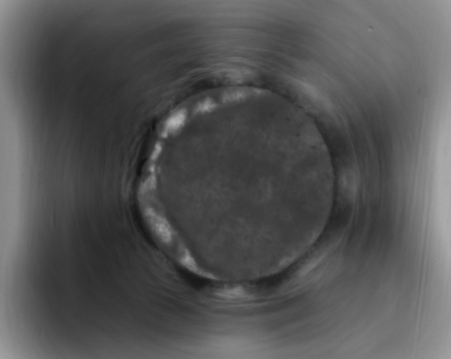 X0000091730177200709141233