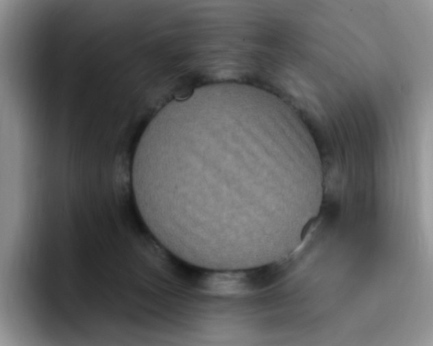 X0000091730179200709141233