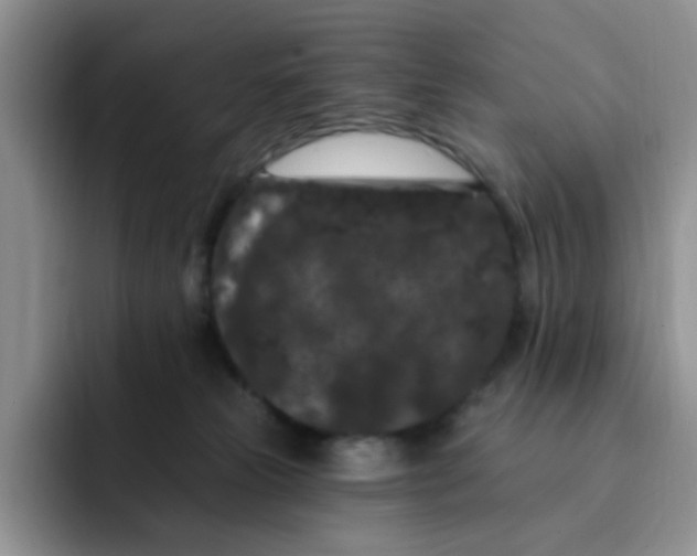 X0000091730181200709141233