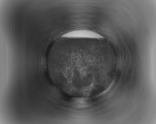 X0000091730182200709141233