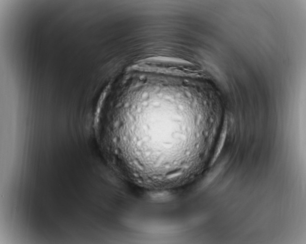 X0000091730189200709141233