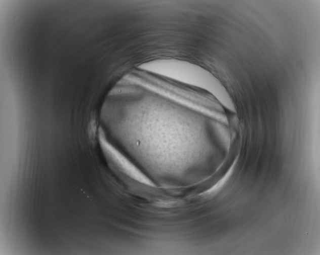 X0000091730190200709141233