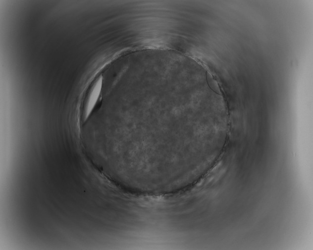 X0000091730194200709141233