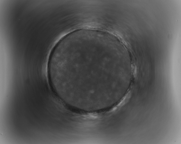 X0000091730196200709141233