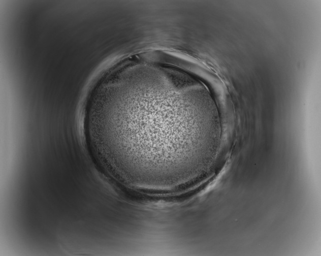 X0000091730197200709141233