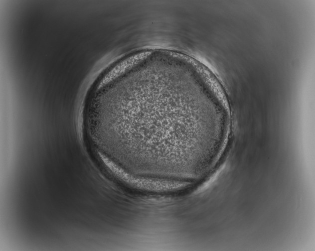 X0000091730199200709141233