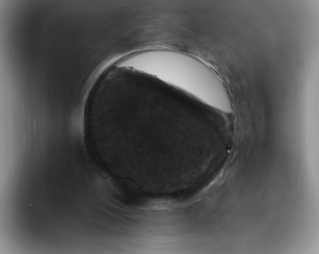 X0000091730200200709141233