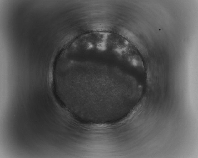 X0000091730202200709141233