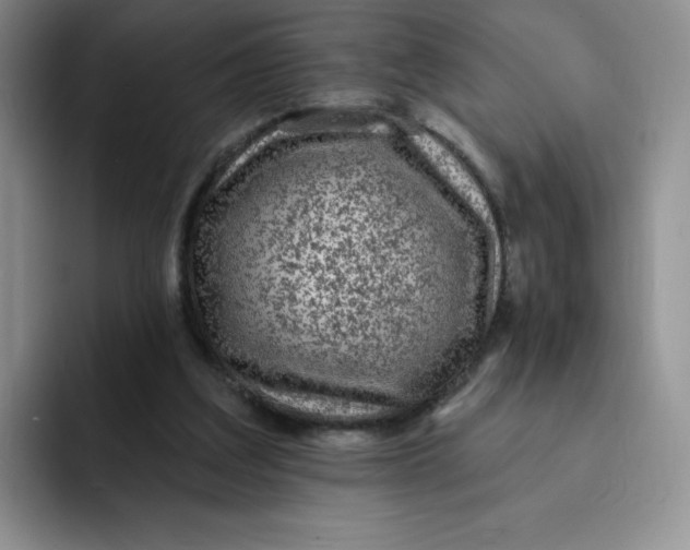 X0000091730203200709141233