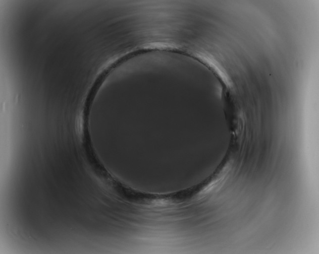 X0000091730204200709141232