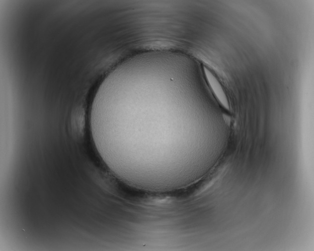 X0000091730206200709141232