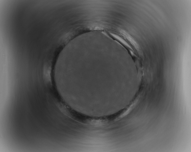 X0000091730209200709141232