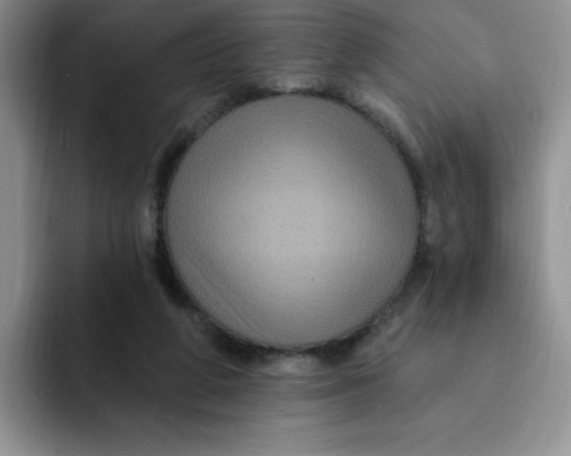 X0000091730210200709141232