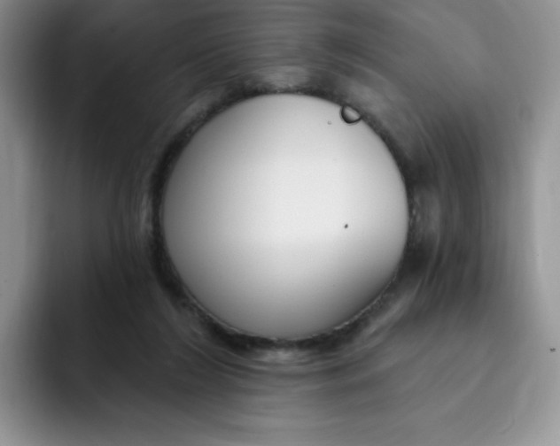 X0000091730212200709141232