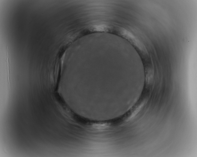 X0000091730213200709141232