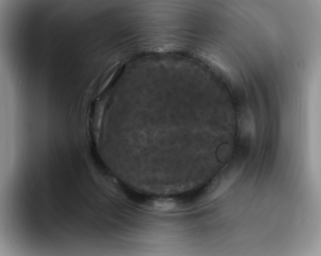 X0000091730214200709141232