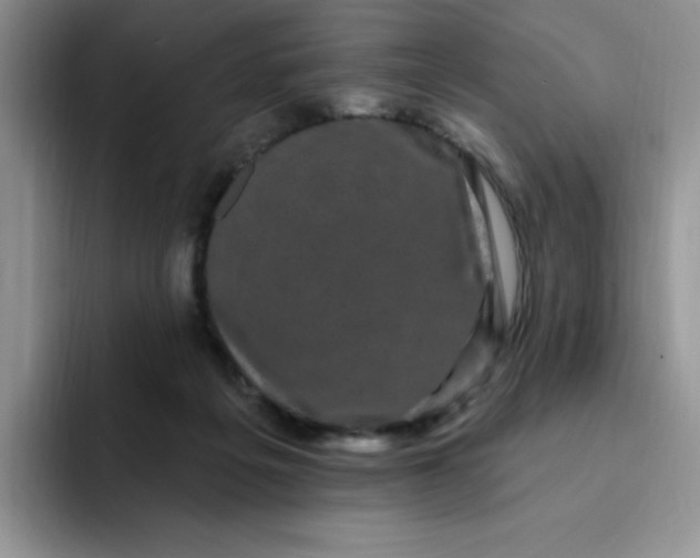 X0000091730217200709141232