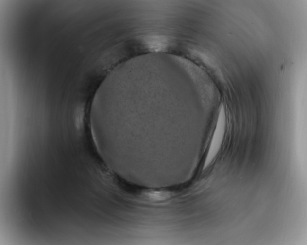 X0000091730221200709141232