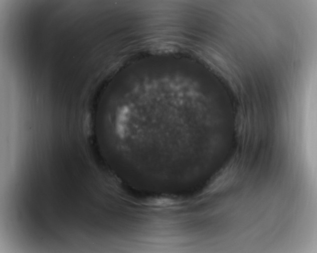 X0000091730224200709141232