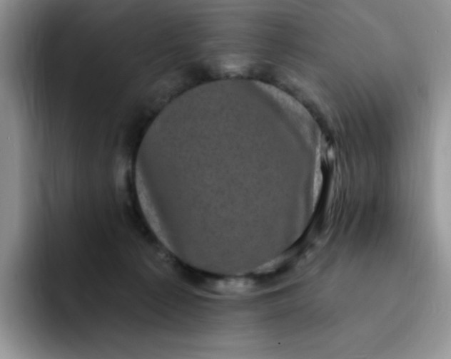 X0000091730225200709141232