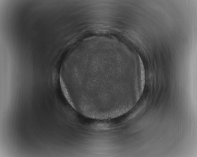 X0000091730228200709141232