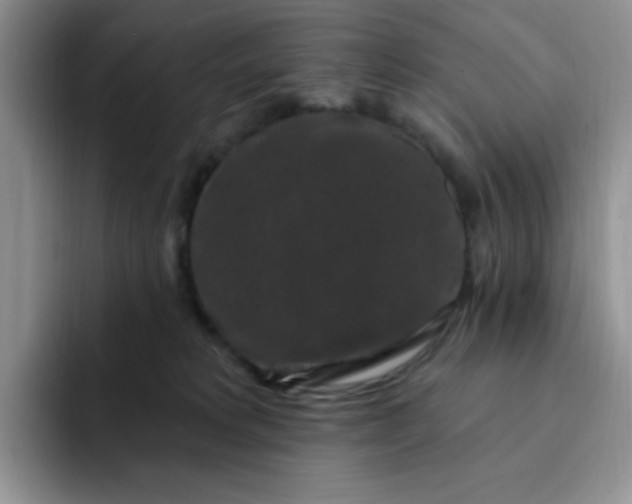 X0000091730229200709141232