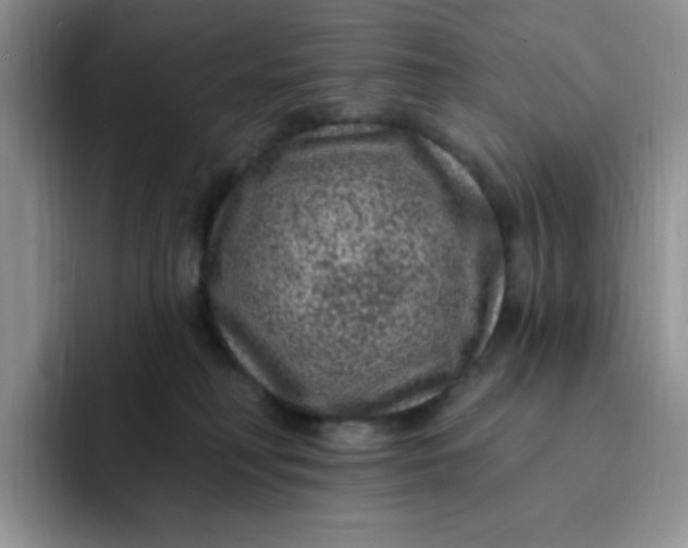 X0000091730230200709141232