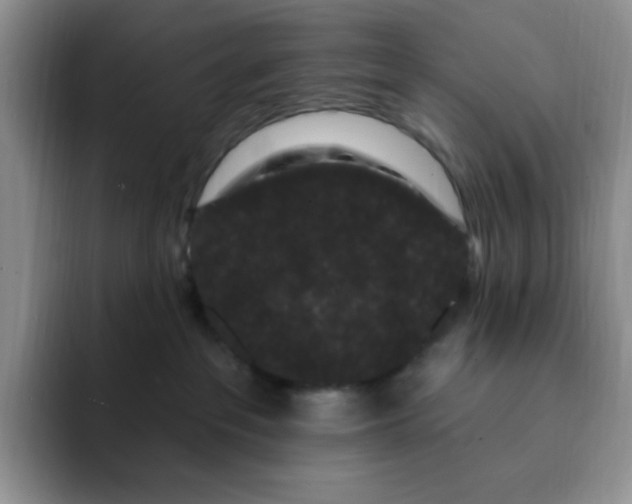 X0000091730237200709141232